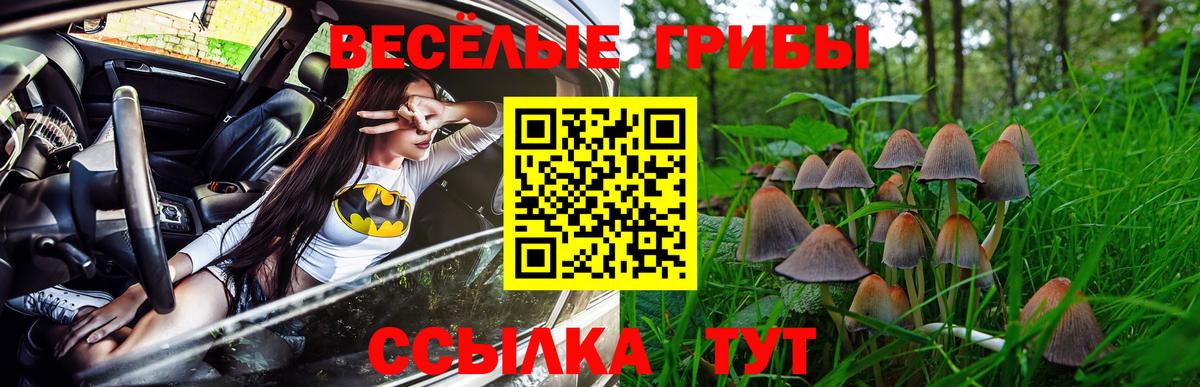 Псилоцибиновые грибы MAGIC MUSHROOMS Югорск